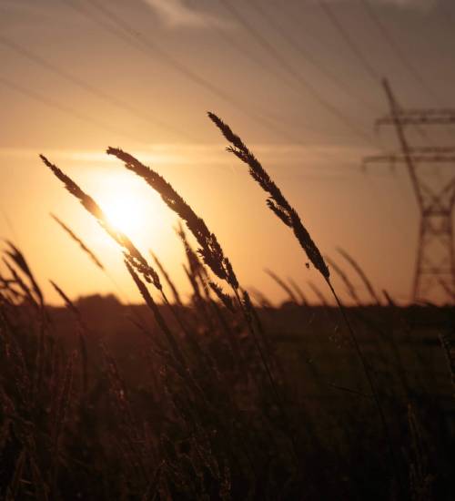 ABC gemeente Zuidplas ABC gemeente Zuidplas